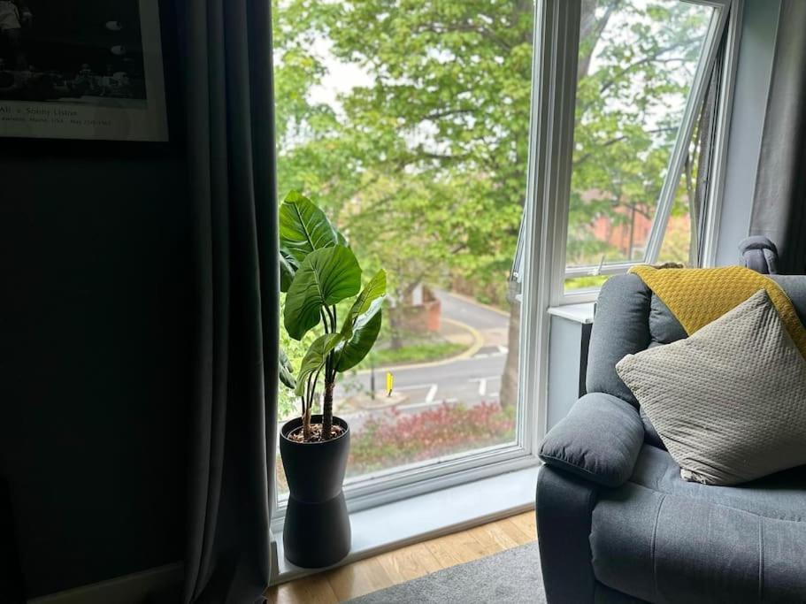 Stunning Luxury Croydon Apartment Gatwick Airport Close Purley Eksteriør billede